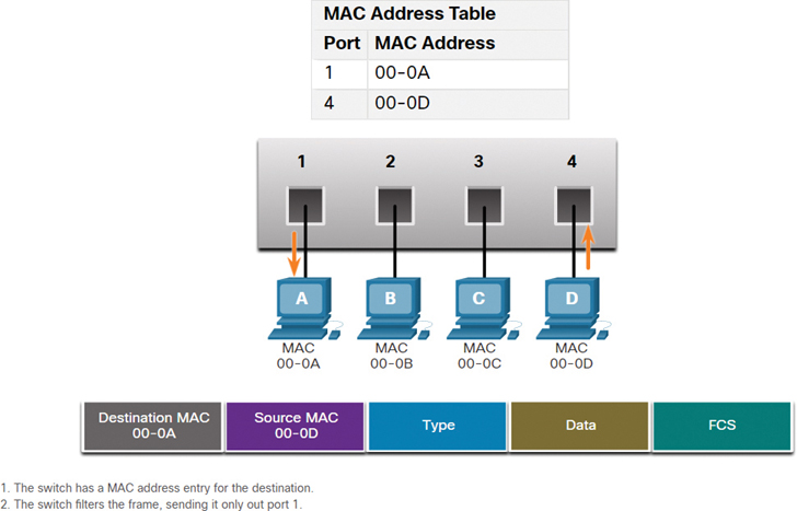 Layer 2 Network Devices